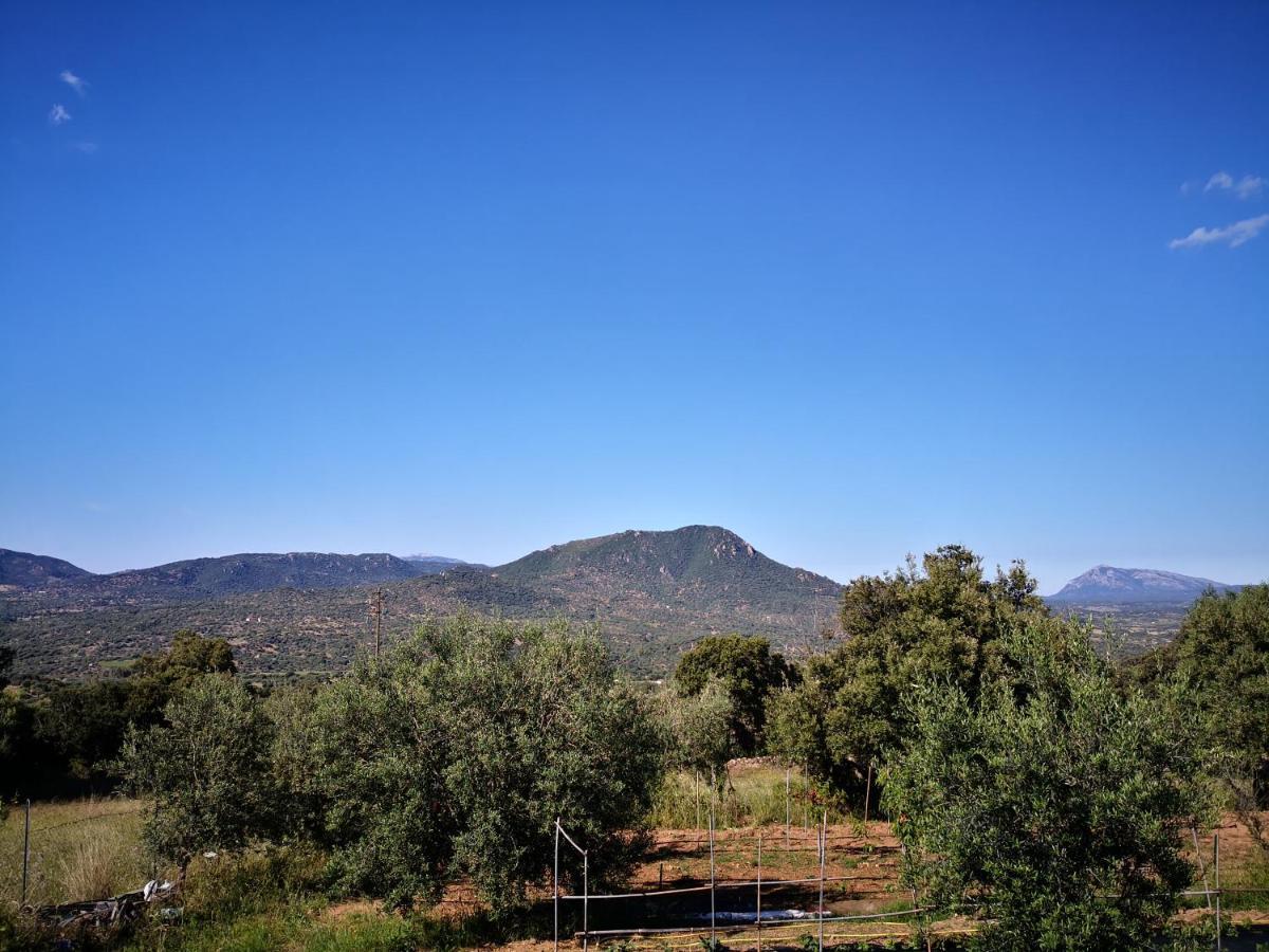 Villa Sa Pruna أوليينا المظهر الخارجي الصورة