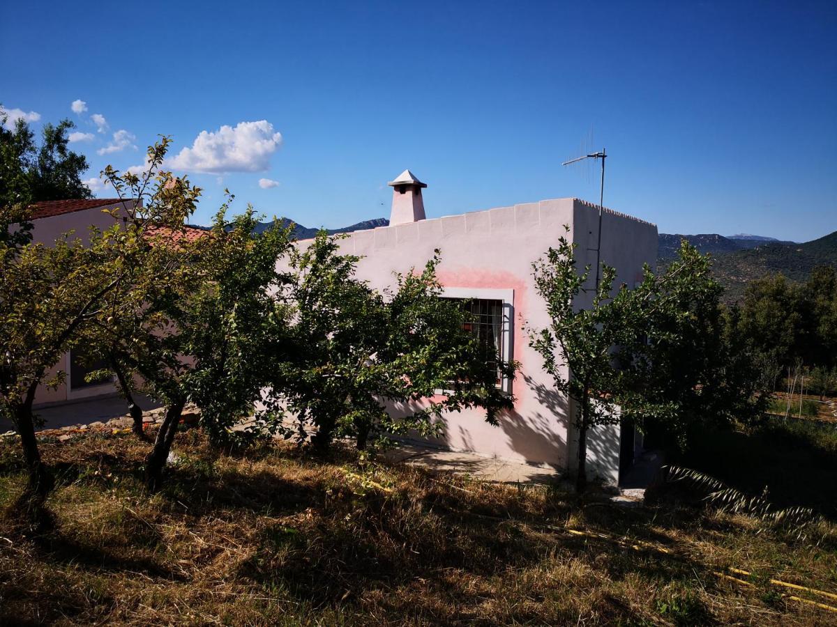 Villa Sa Pruna أوليينا المظهر الخارجي الصورة